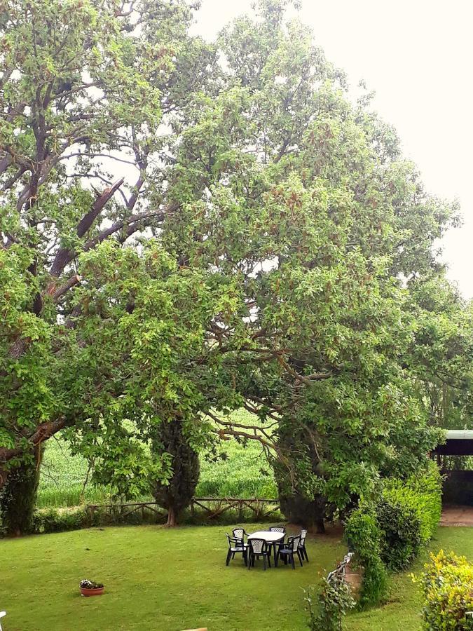 מונטמראנו Agriturismo La Baroncella מראה חיצוני תמונה